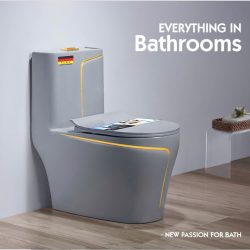 bồn cầu nguyên khối xám chỉ vàng