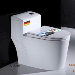 Bồn cầu hai khối